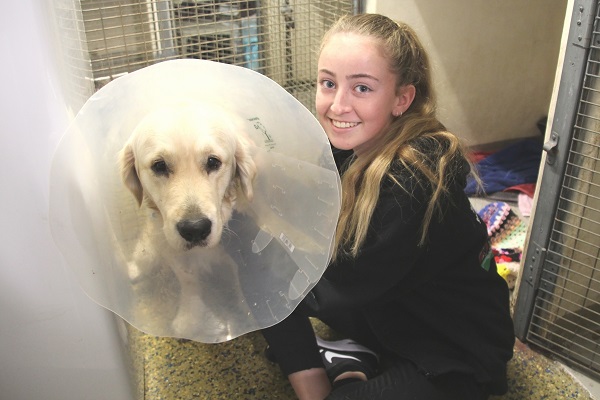 Hayley Browne - Vet Surgery.jpg