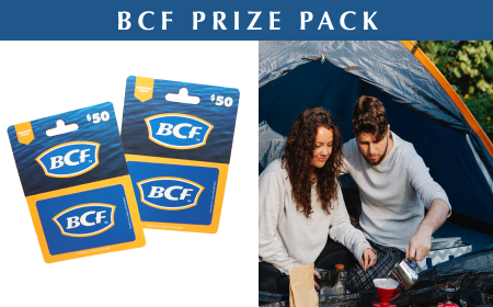 BCF.png