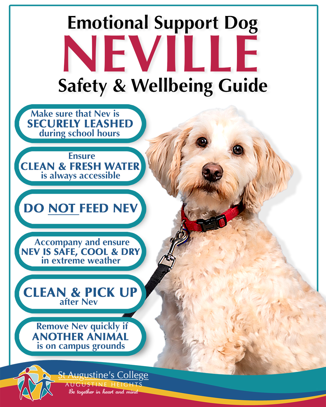 Emotional Support Dog - Neville - Wellbeing & Safety Guide Web Poster.jpg